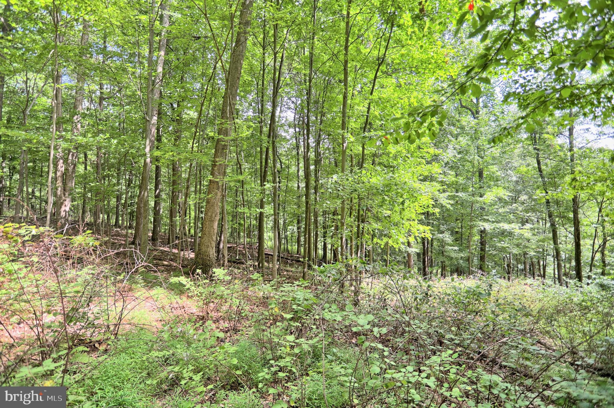 0 Kennedy Valley Road Landisburg, PA 17040 - Photo 18 of 39 Gallery Image 18
