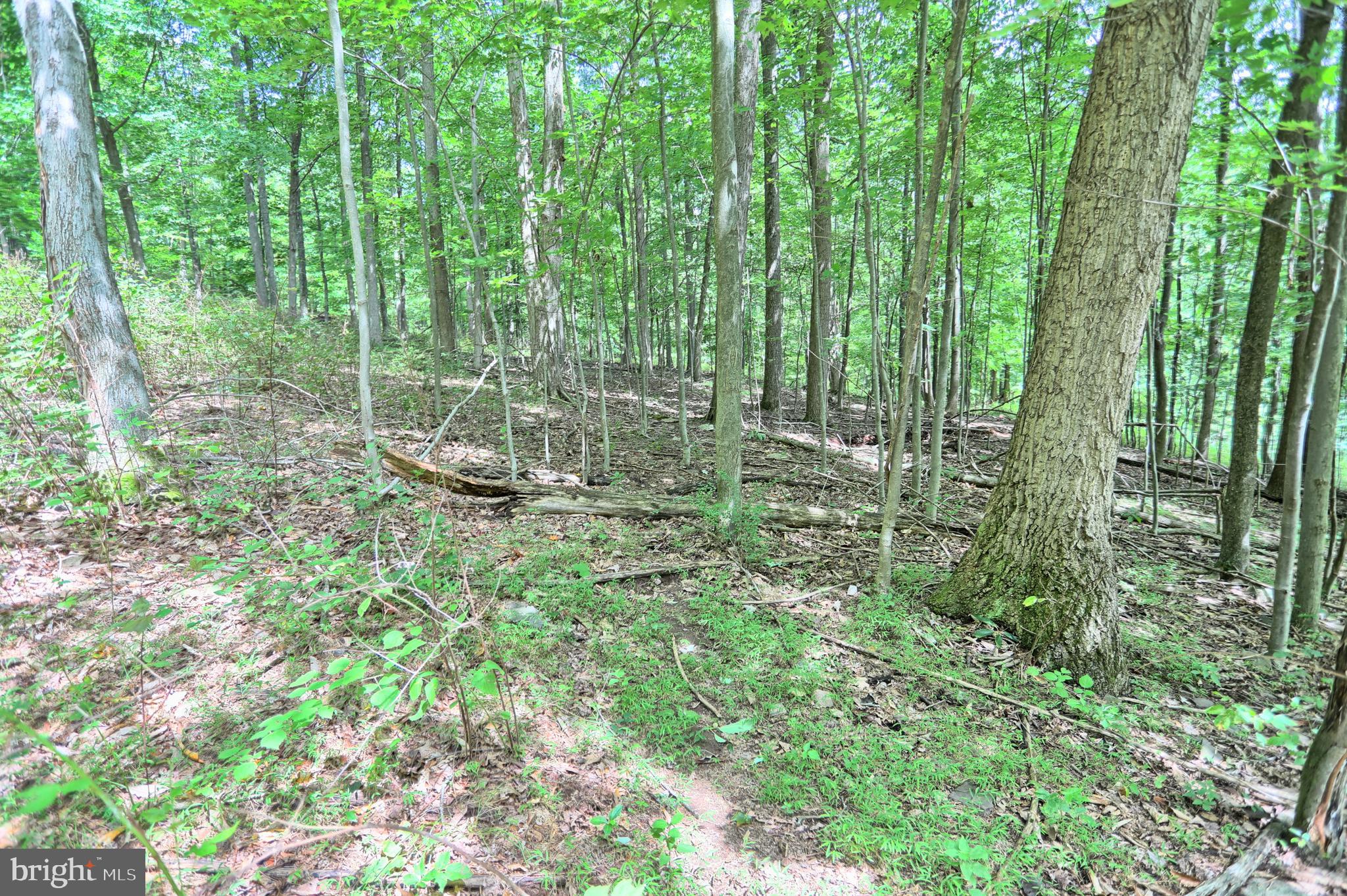 0 Kennedy Valley Road Landisburg, PA 17040 - Photo 19 of 39 Gallery Image 19