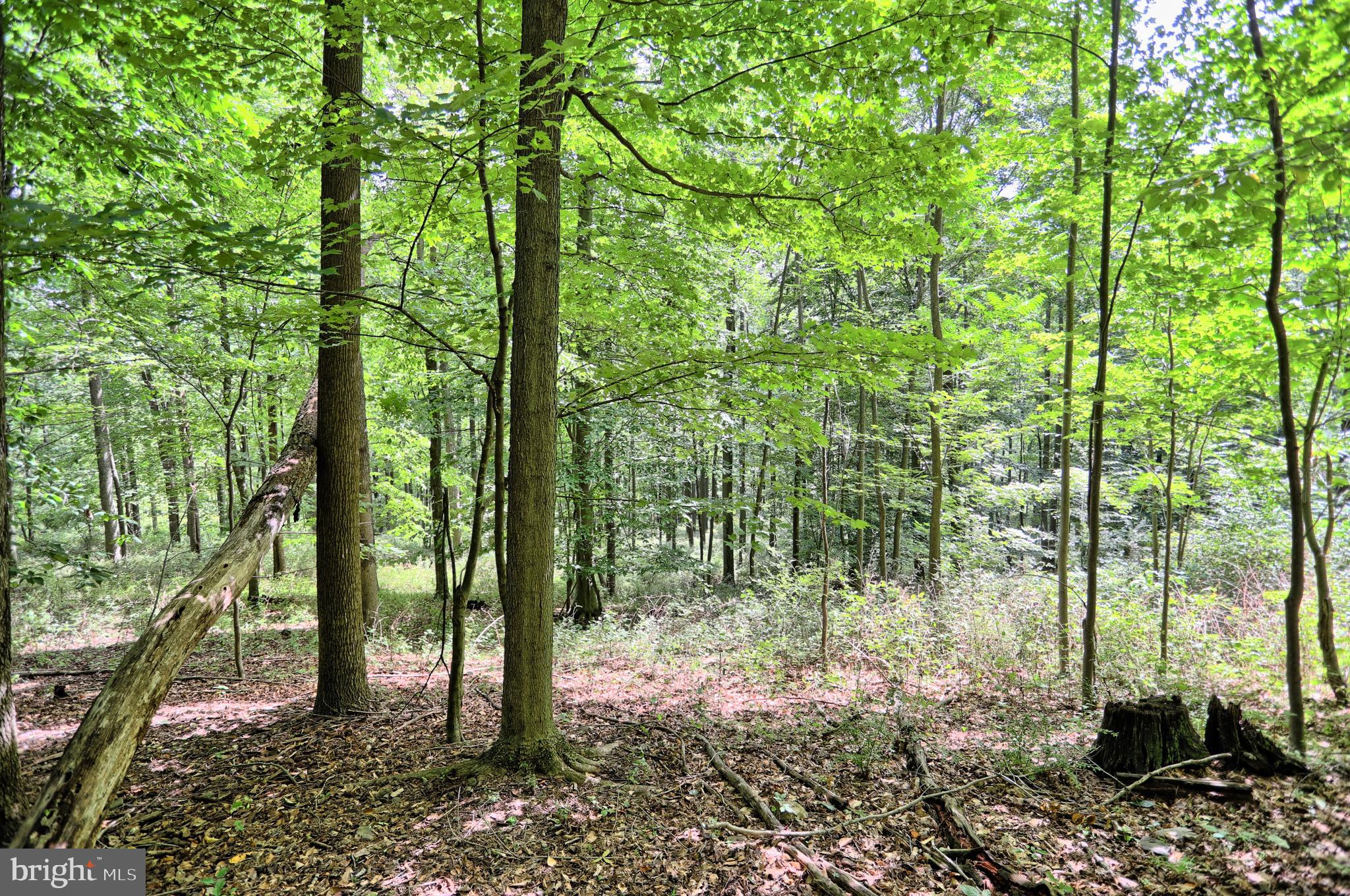 0 Kennedy Valley Road Landisburg, PA 17040 - Photo 20 of 39 Gallery Image 20