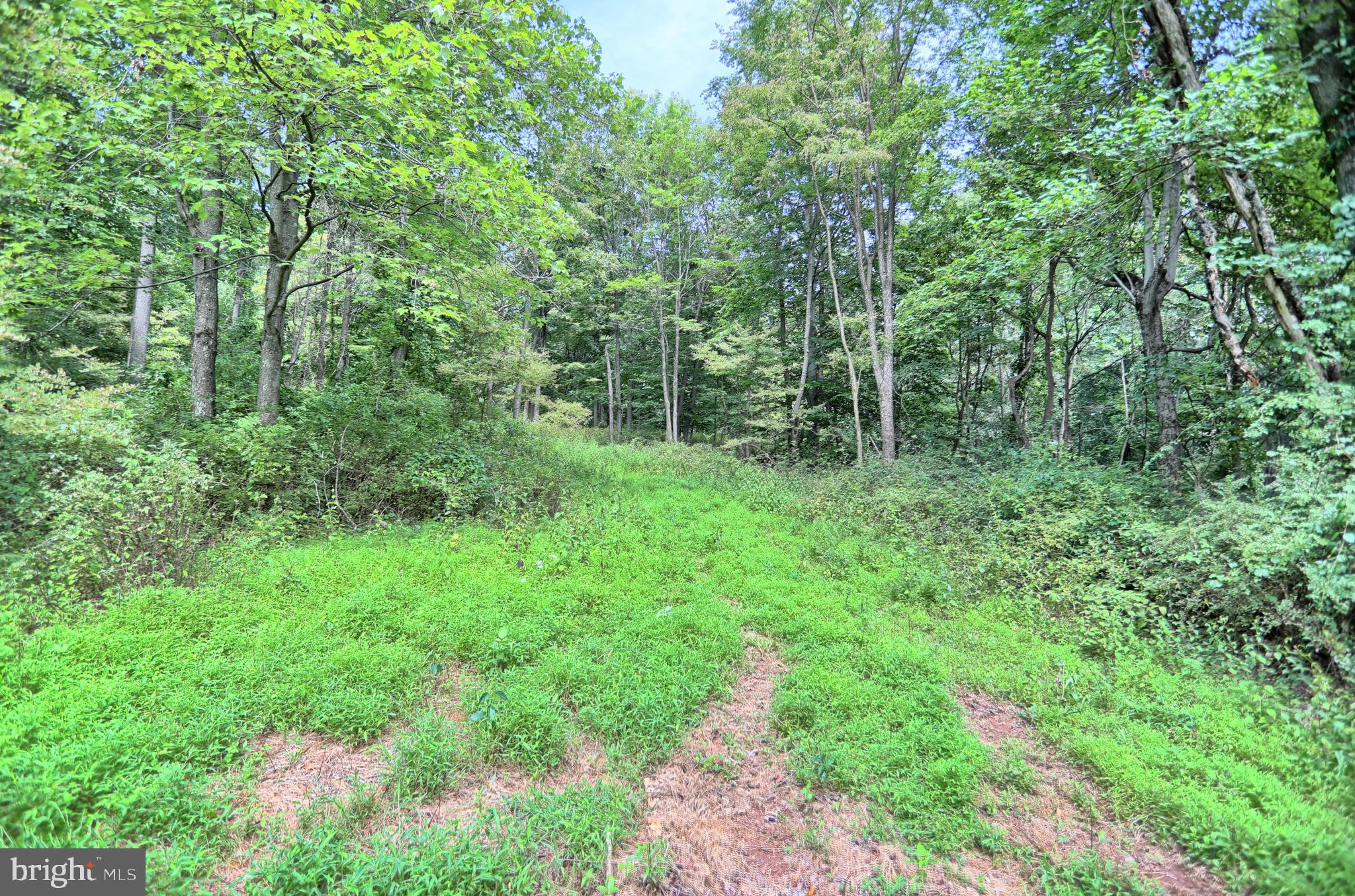 0 Kennedy Valley Road Landisburg, PA 17040 - Photo 3 of 39 Gallery Image 3