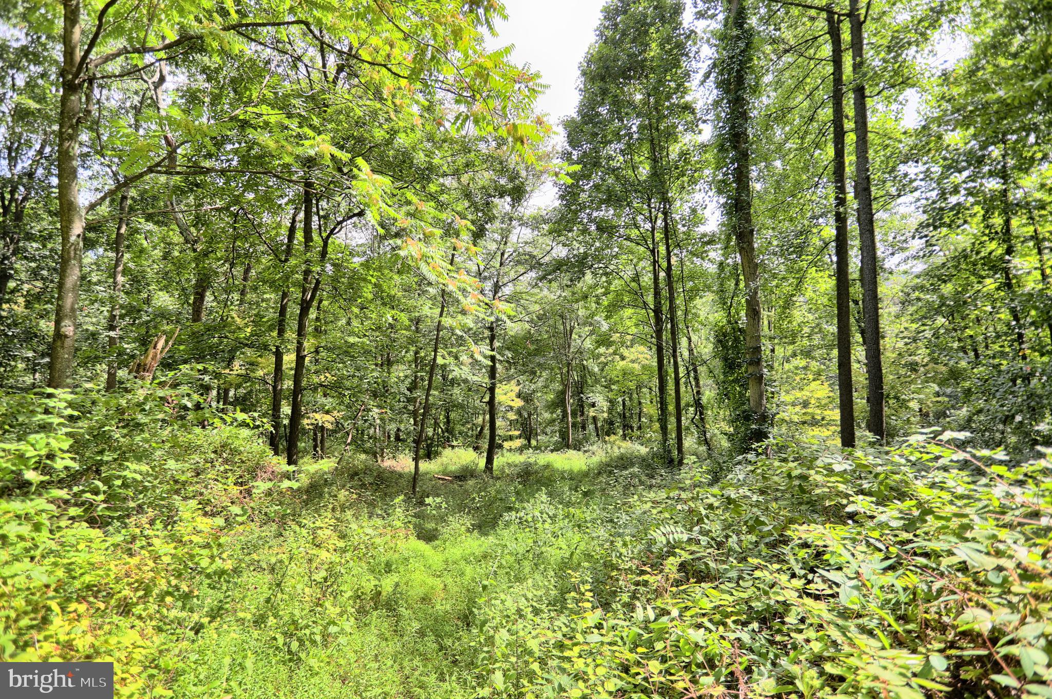 0 Kennedy Valley Road Landisburg, PA 17040 - Photo 21 of 39 Gallery Image 21
