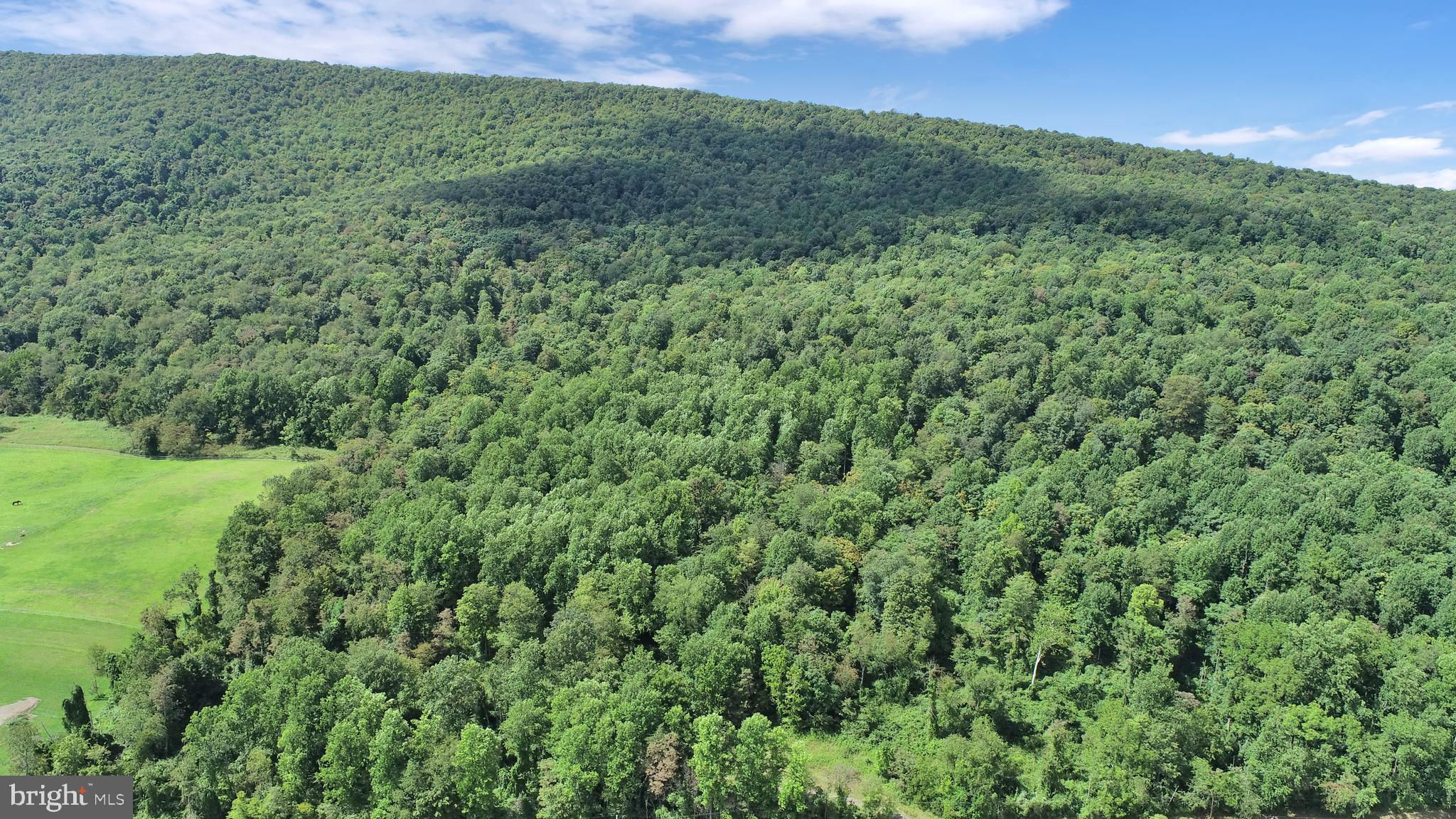 0 Kennedy Valley Road Landisburg, PA 17040 - Photo 27 of 39 Gallery Image 27