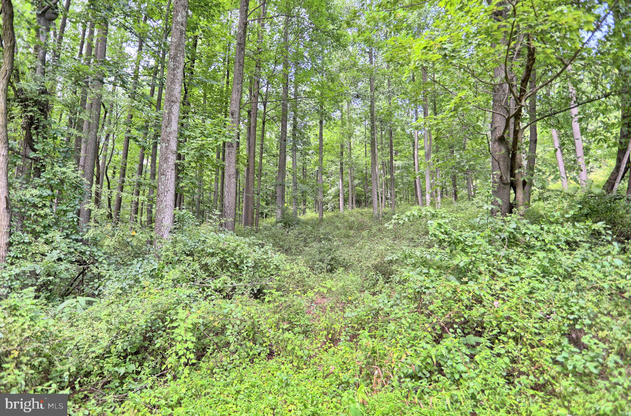 0 Kennedy Valley Road Landisburg, PA 17040 - Photo 5 of 39 Gallery Image 5