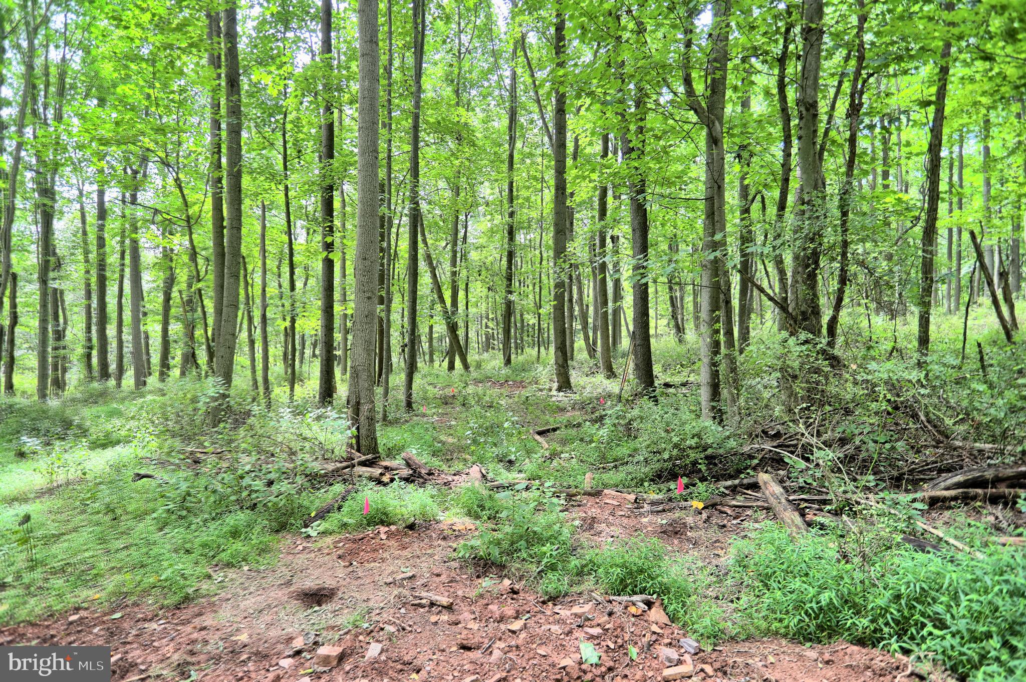 0 Kennedy Valley Road Landisburg, PA 17040 - Photo 6 of 39 Gallery Image 6
