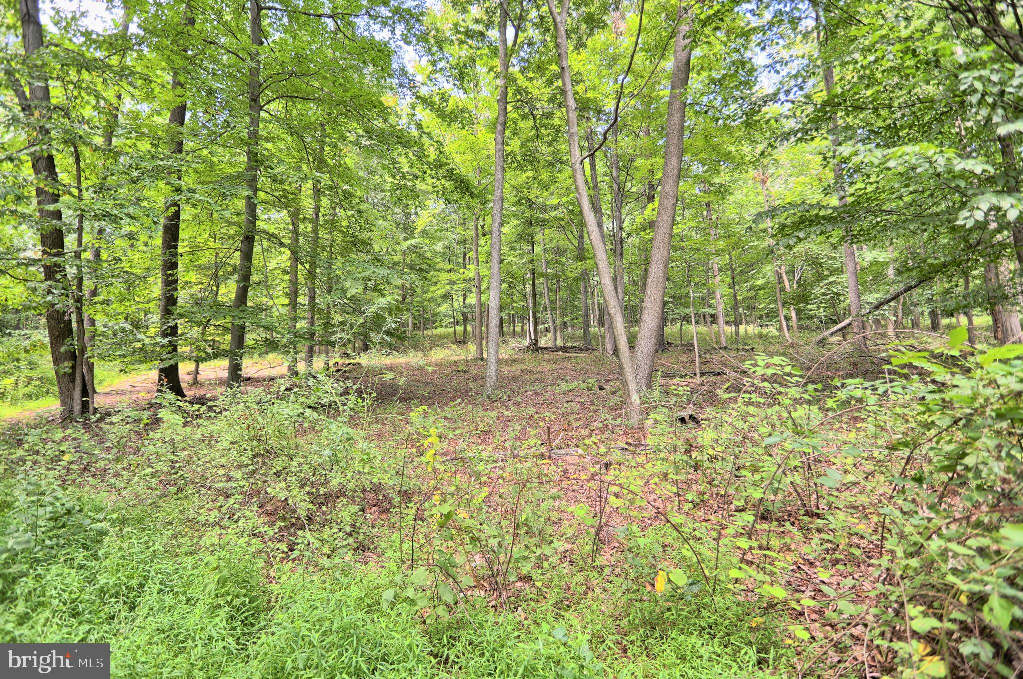 0 Kennedy Valley Road Landisburg, PA 17040 - Photo 10 of 39 Gallery Image 10
