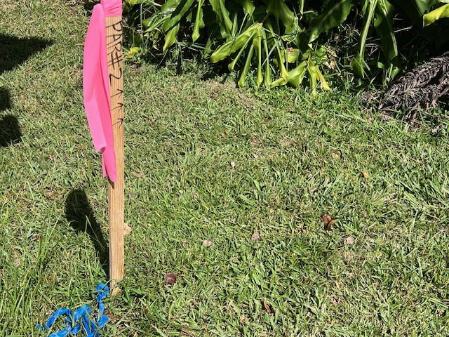 19-3926 Old Volcano Road Volcano, HI 96785 - Photo 17 of 27 Gallery Image 17
