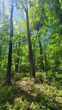 $25,750 | 166 Camp Achievement Road, Connellsville, PA 15425