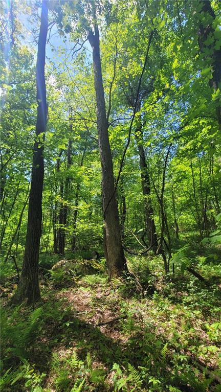 166 Camp Achievement Road Connellsville, PA 15425 - Photo 1 of 3