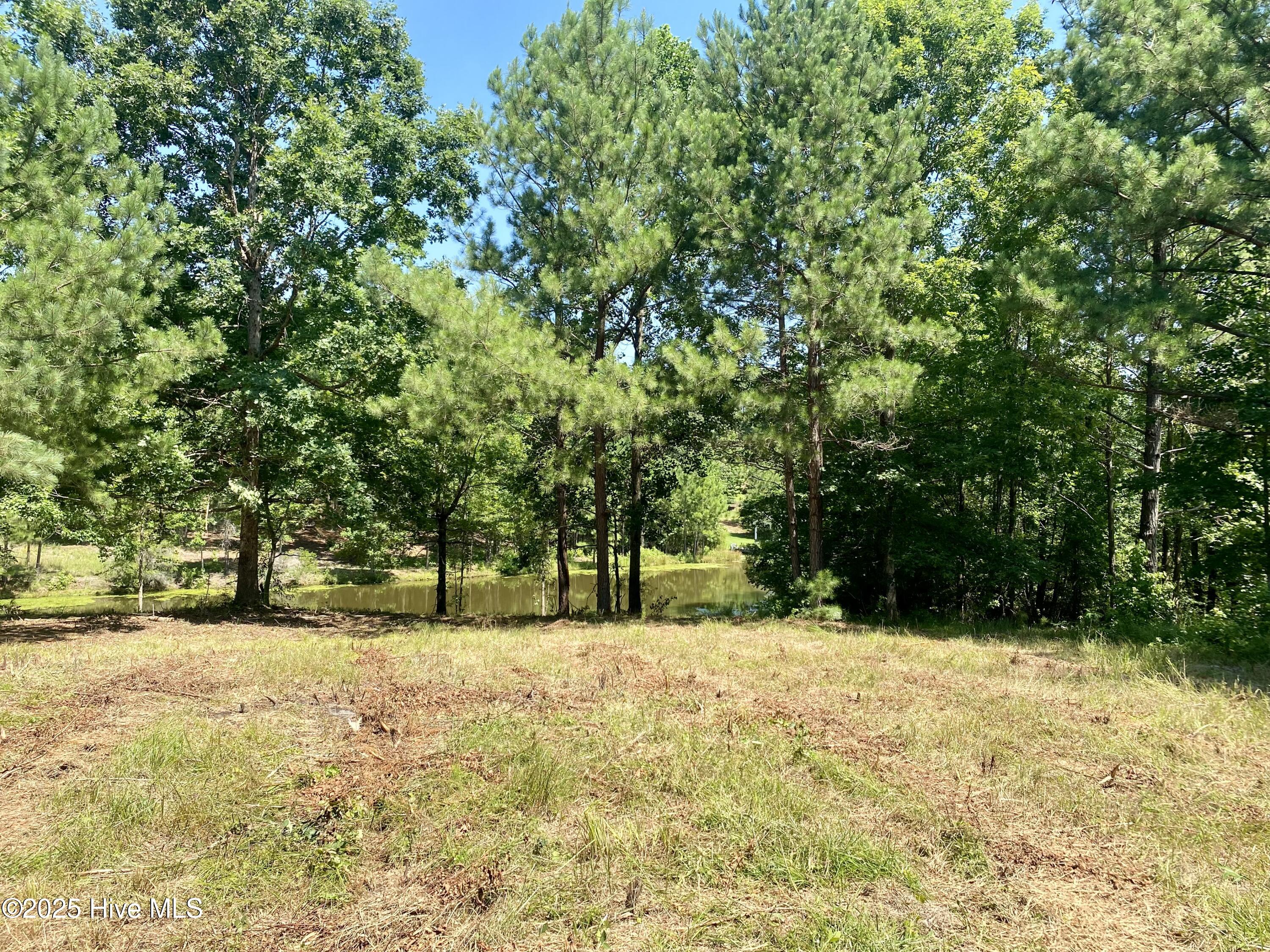 291 Gails Road West End, NC 27376 - Photo 4 of 10 partially cleared