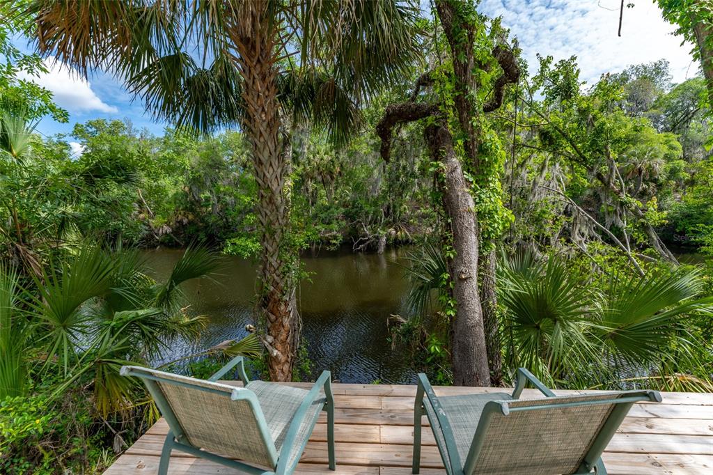 8214 Revels Road Riverview, FL 33569 - Photo 2 of 86