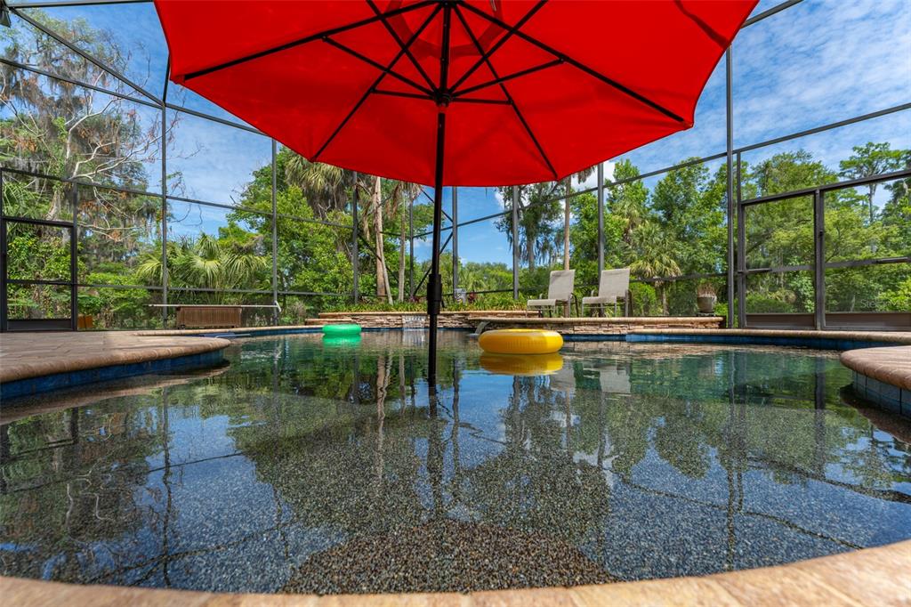 8214 Revels Road Riverview, FL 33569 - Photo 46 of 86
