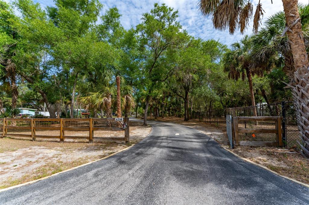 8214 Revels Road Riverview, FL 33569 - Photo 53 of 86