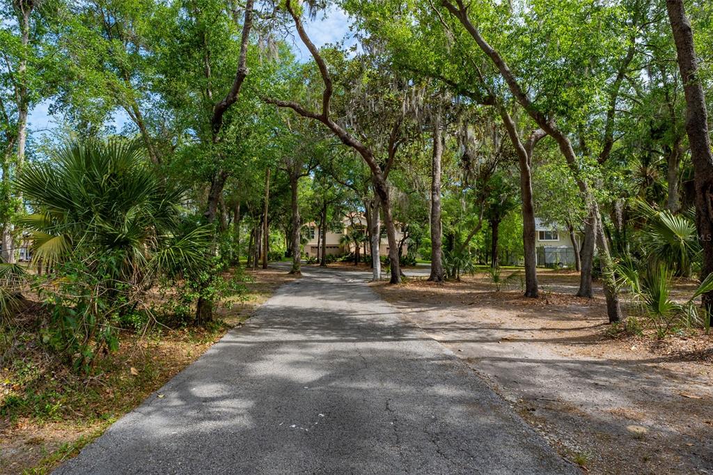 8214 Revels Road Riverview, FL 33569 - Photo 54 of 86