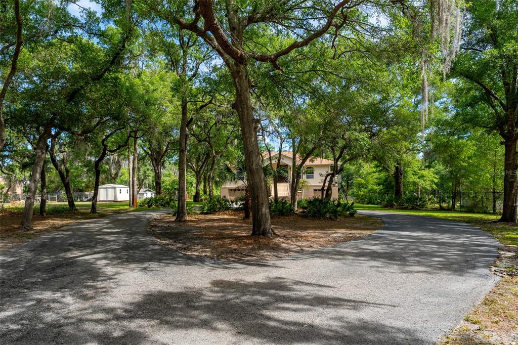 8214 Revels Road Riverview, FL 33569 - Photo 55 of 86