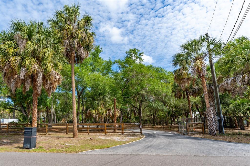 8214 Revels Road Riverview, FL 33569 - Photo 56 of 86
