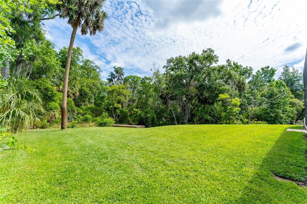 8214 Revels Road Riverview, FL 33569 - Photo 79 of 86