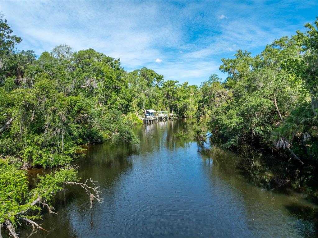8214 Revels Road Riverview, FL 33569 - Photo 8 of 86