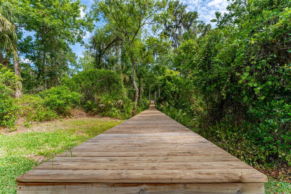 8214 Revels Road Riverview, FL 33569 - Photo 81 of 86