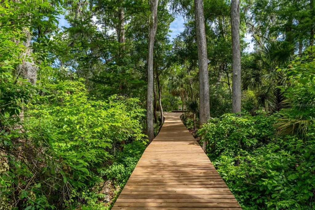 8214 Revels Road Riverview, FL 33569 - Photo 82 of 86