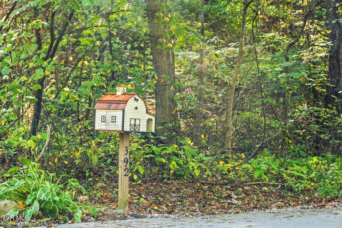 392 Government Road Bristol, TN 37620 - Photo 39 of 46 06-128A0952