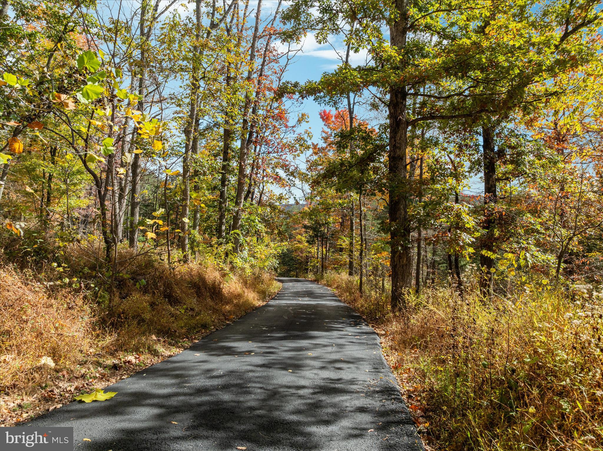 220 Oates Road Star Tannery, VA 22654 - Photo 2 of 67 Paved drive