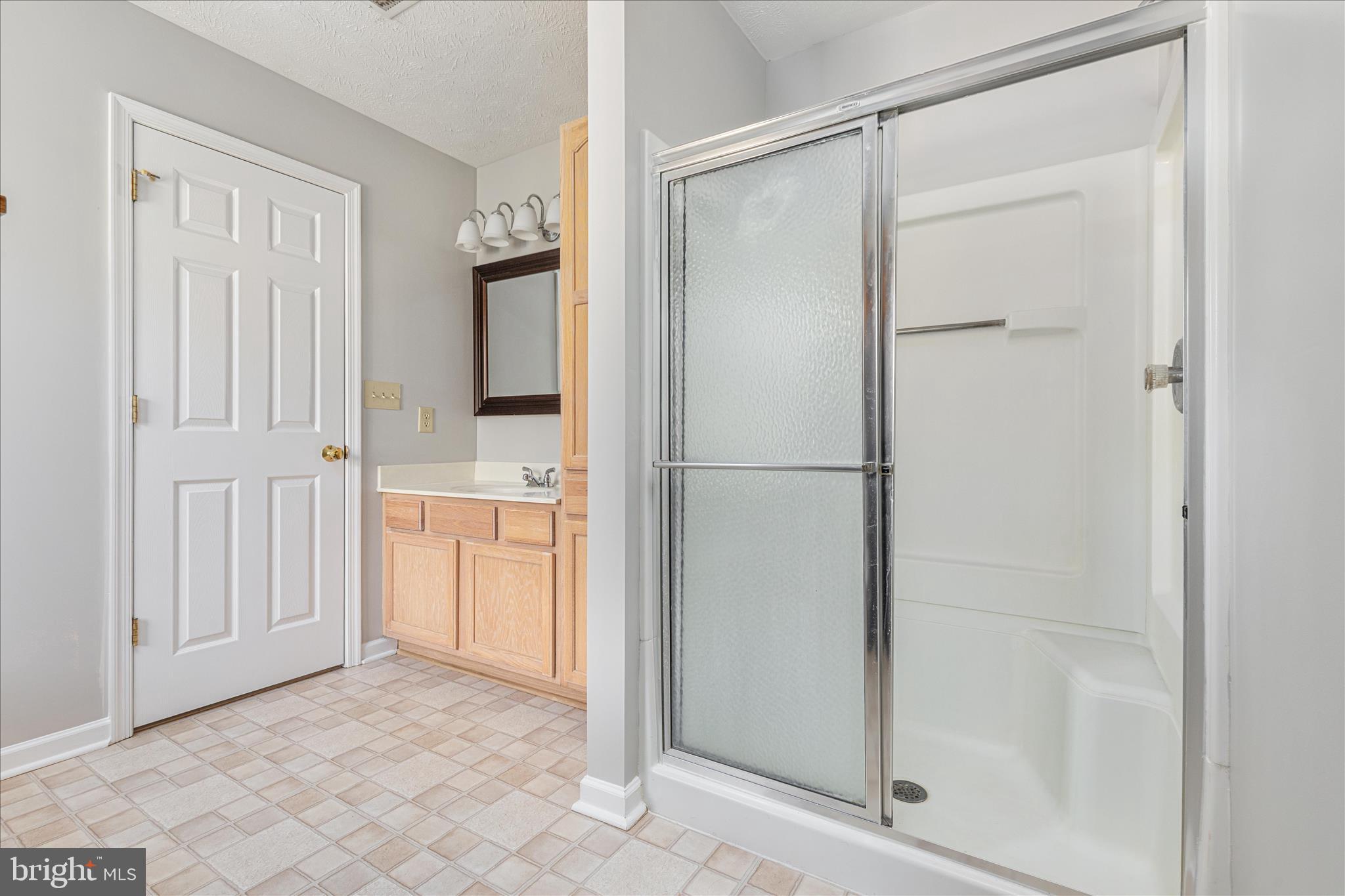 220 Oates Road Star Tannery, VA 22654 - Photo 33 of 67 Primary Bath