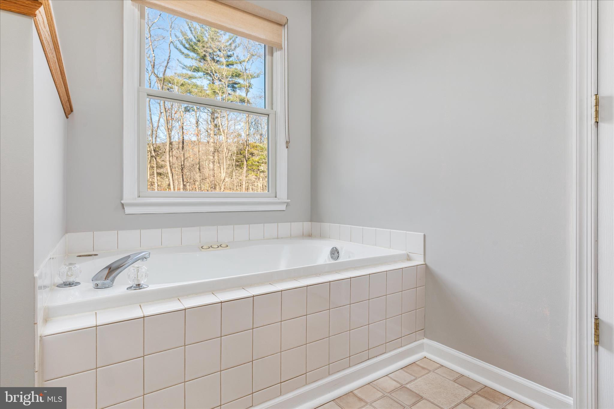 220 Oates Road Star Tannery, VA 22654 - Photo 34 of 67 Primary Bath