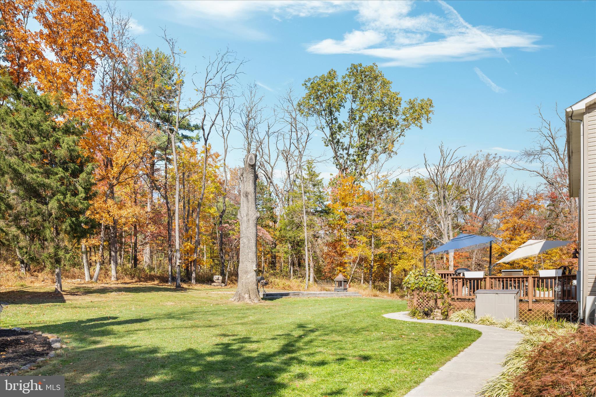 220 Oates Road Star Tannery, VA 22654 - Photo 57 of 67