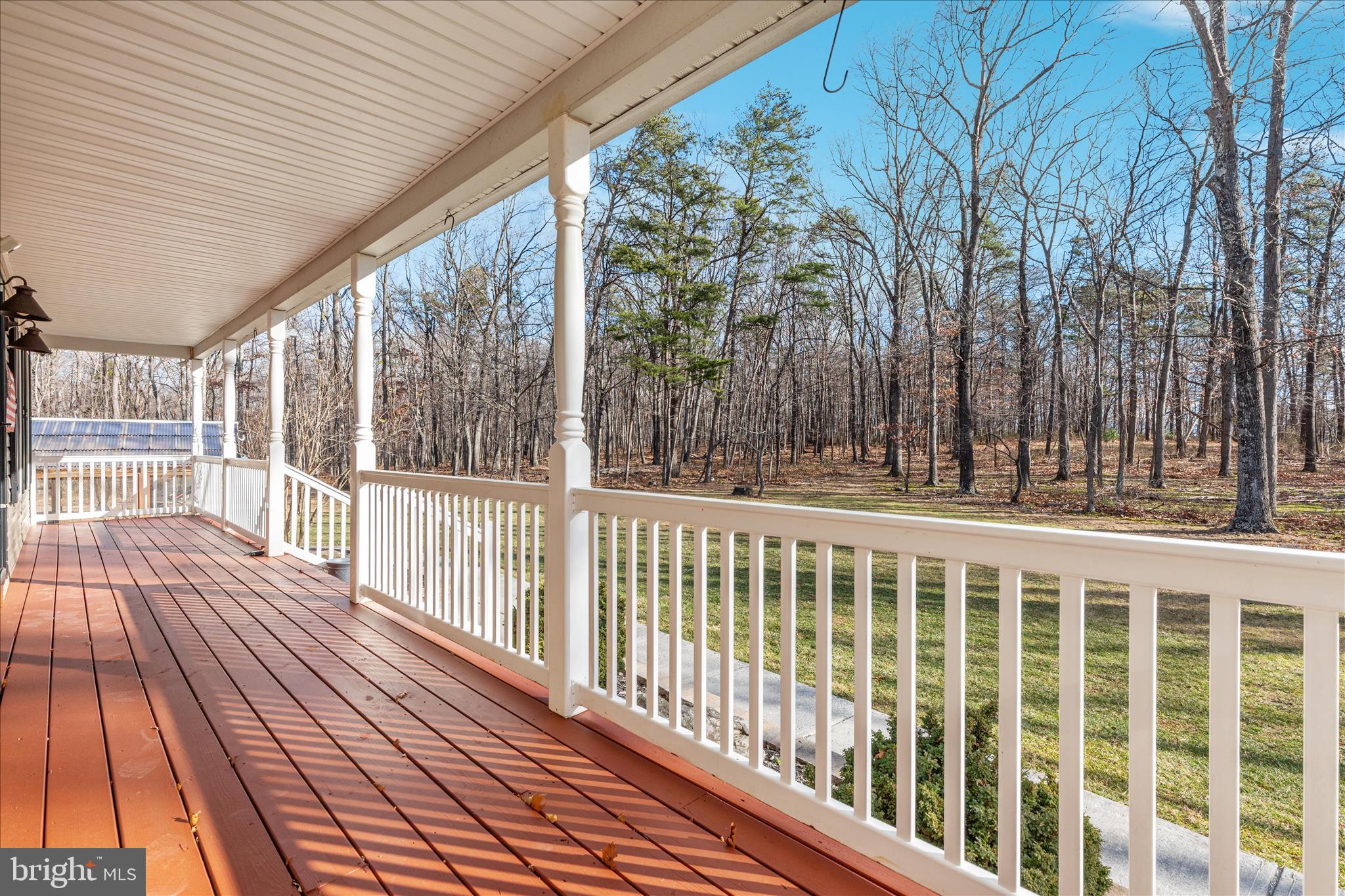 220 Oates Road Star Tannery, VA 22654 - Photo 7 of 67 Beautiful yard w/leaves & without