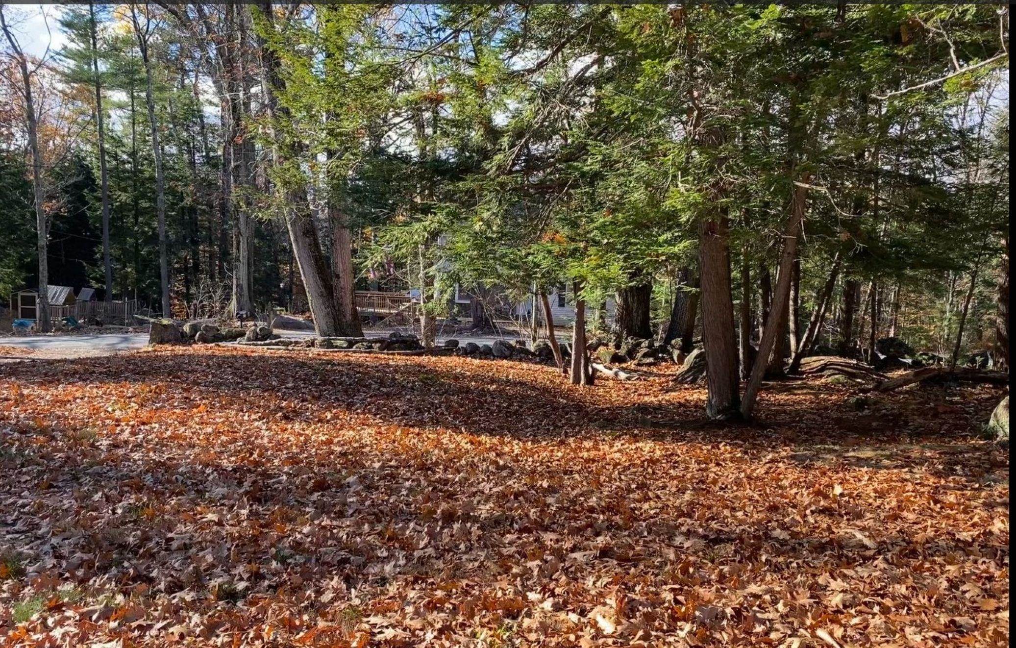332 Old Post Road Newbury, NH 03255 - Photo 17 of 17