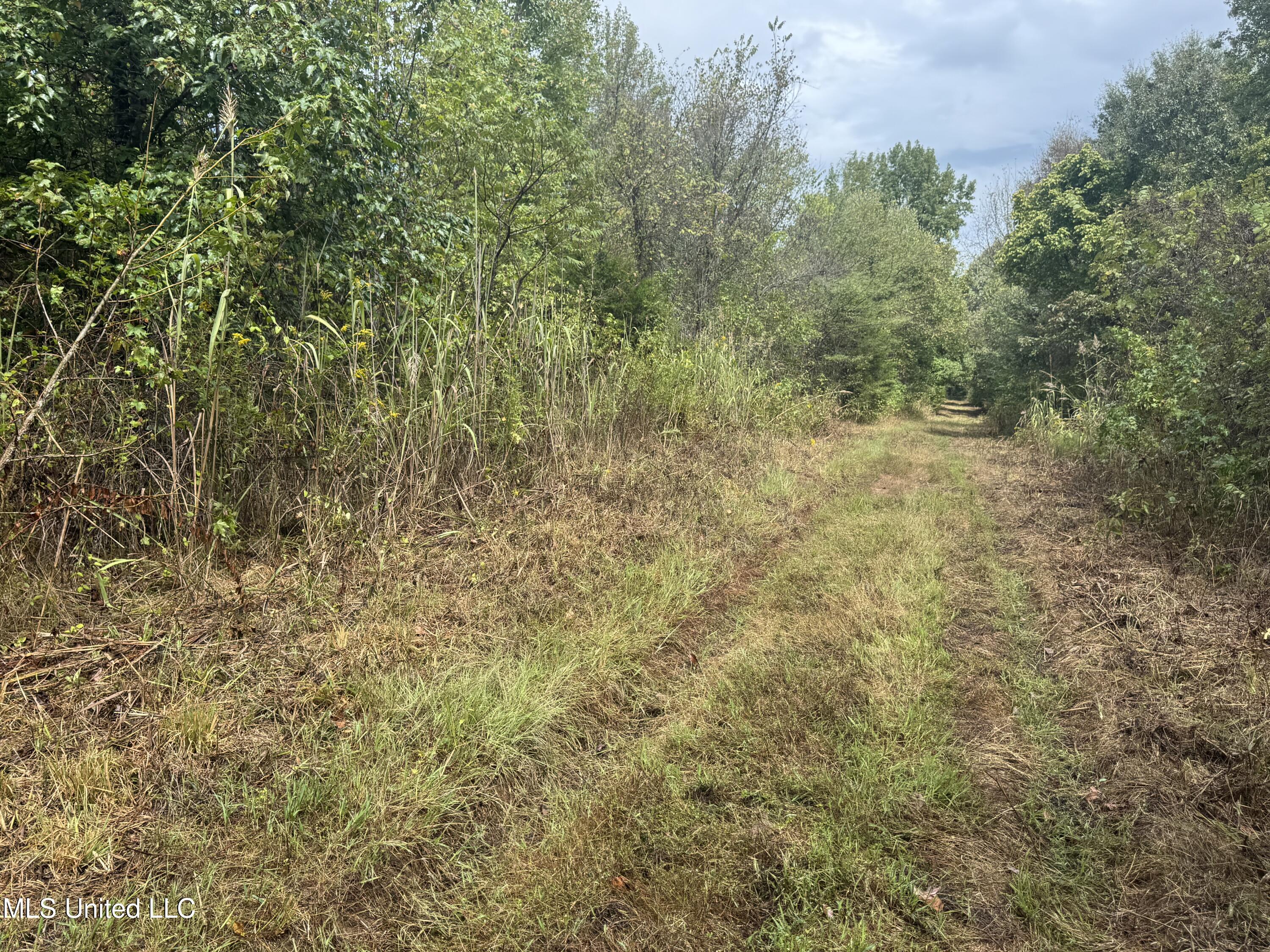 0 Cooperlow Road Coldwater, MS 38618 - Photo 11 of 59 Bedding Road
