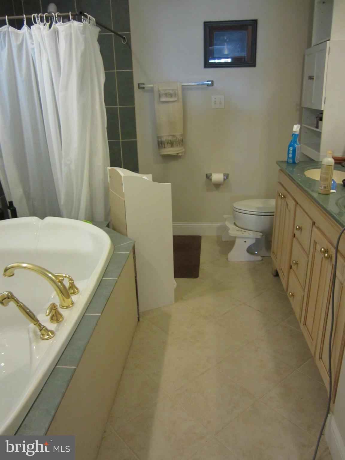4300 Mahan Road Silver Spring, MD 20906 - Photo 28 of 28 Bath