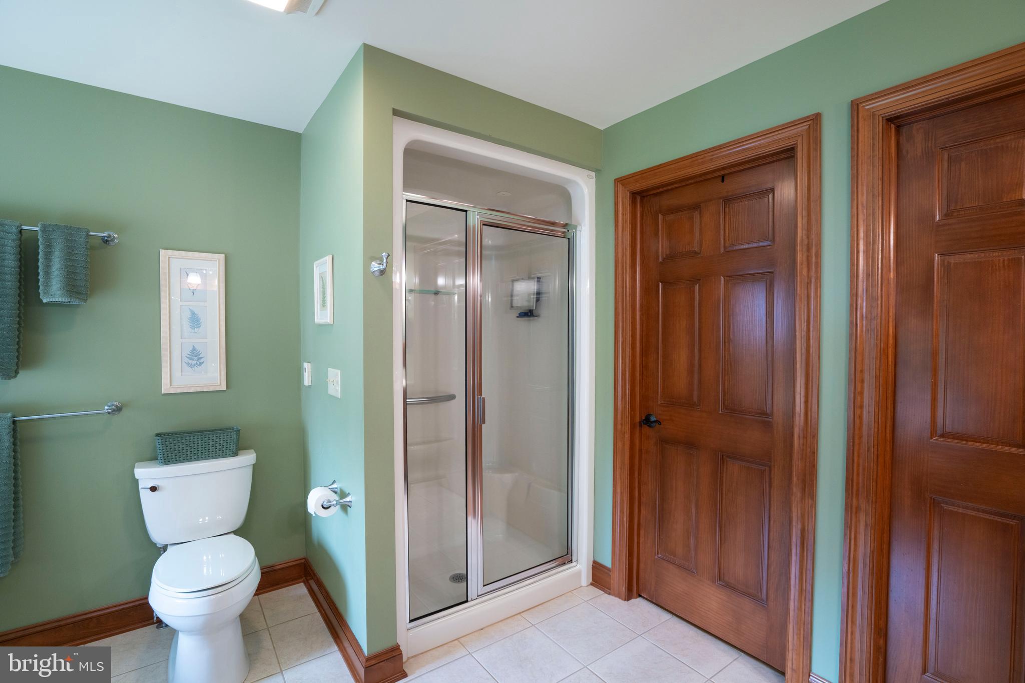 160 Ferne Ridge Lane Spring Mills, PA 16875 - Photo 45 of 100