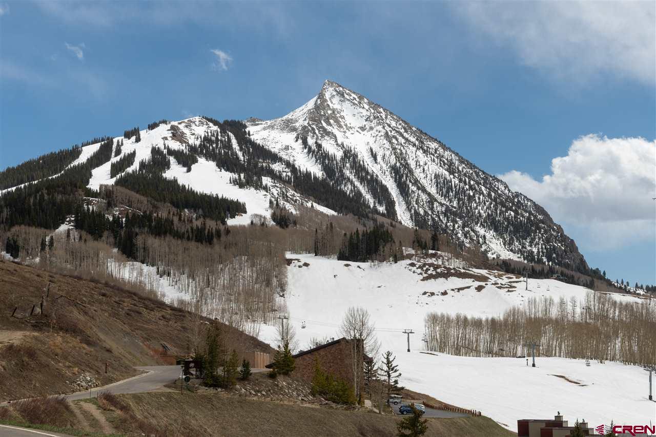 51 Whetstone Road, Unit 1202 Crested Butte, CO 81225 - Photo 27 of 30