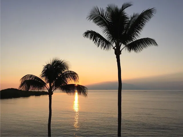 a view of ocean view