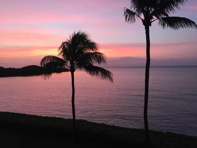 an aerial view of a houses with outdoor space
