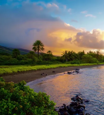 a view of a wooden floor