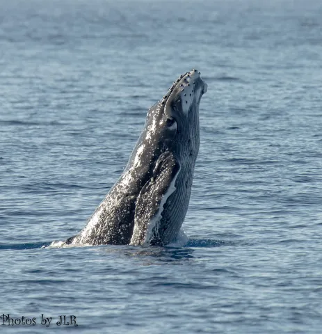 a view of an outdoor space