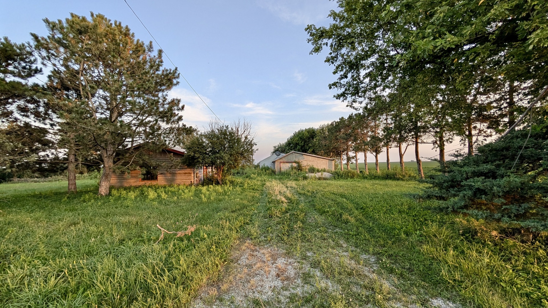 1146 North 10th Road Streator, IL 61364 - Photo 1 of 33 a view of backyard with huge green area and large trees