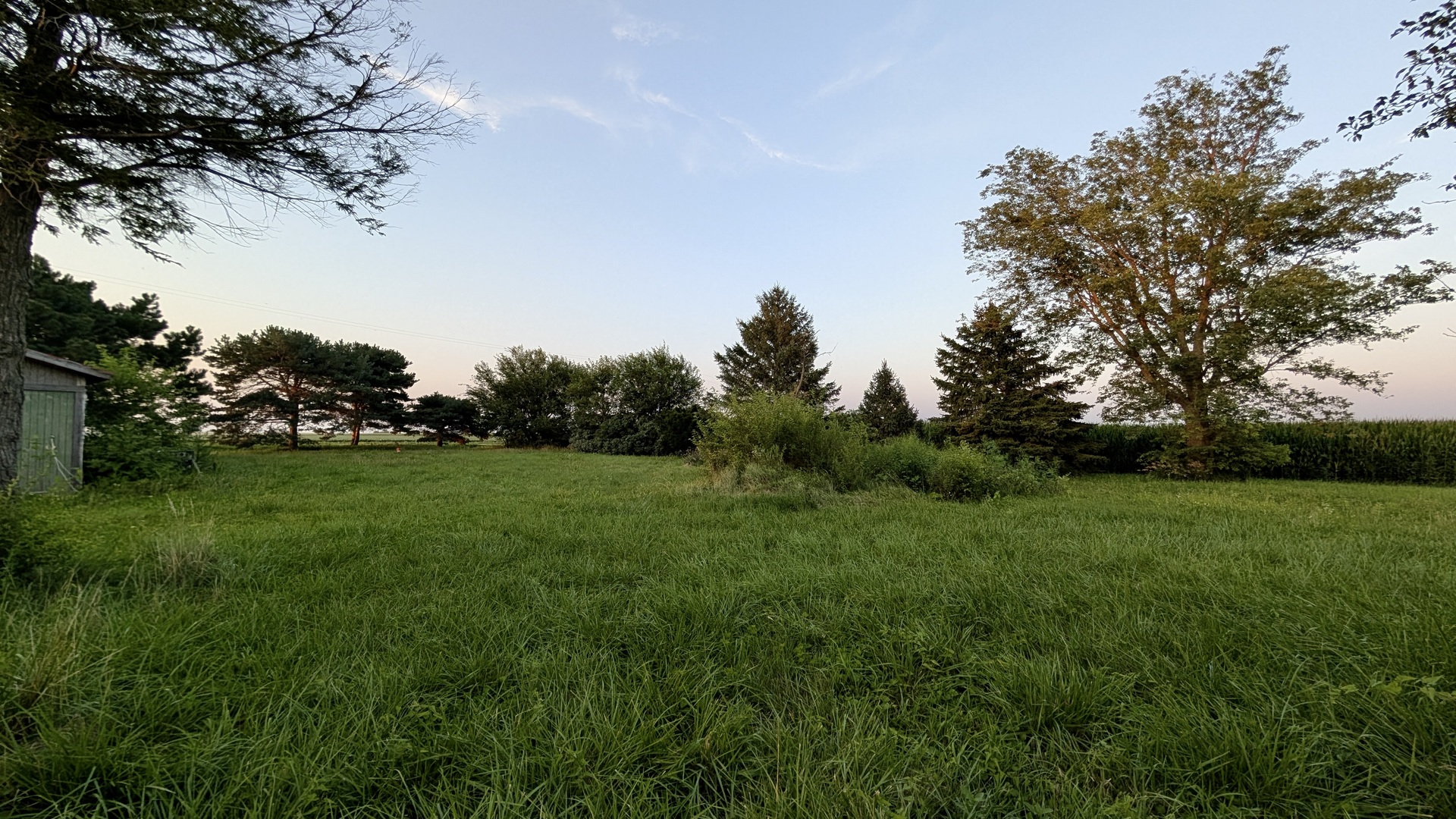 1146 North 10th Road Streator, IL 61364 - Photo 23 of 33 a view of a field of grass and trees