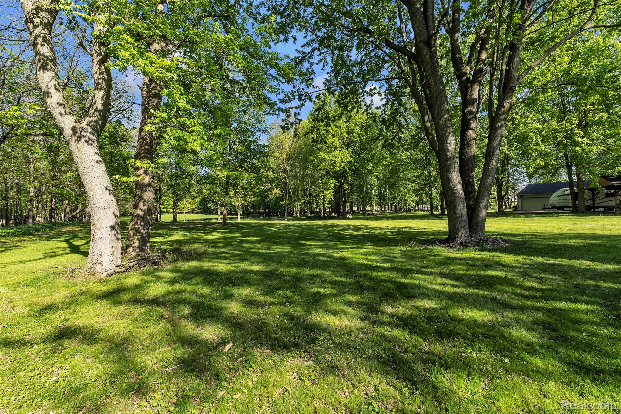 1345 Ives Road Mason, MI 48854 - Photo 70 of 92 View of green lawn with view of wooded area