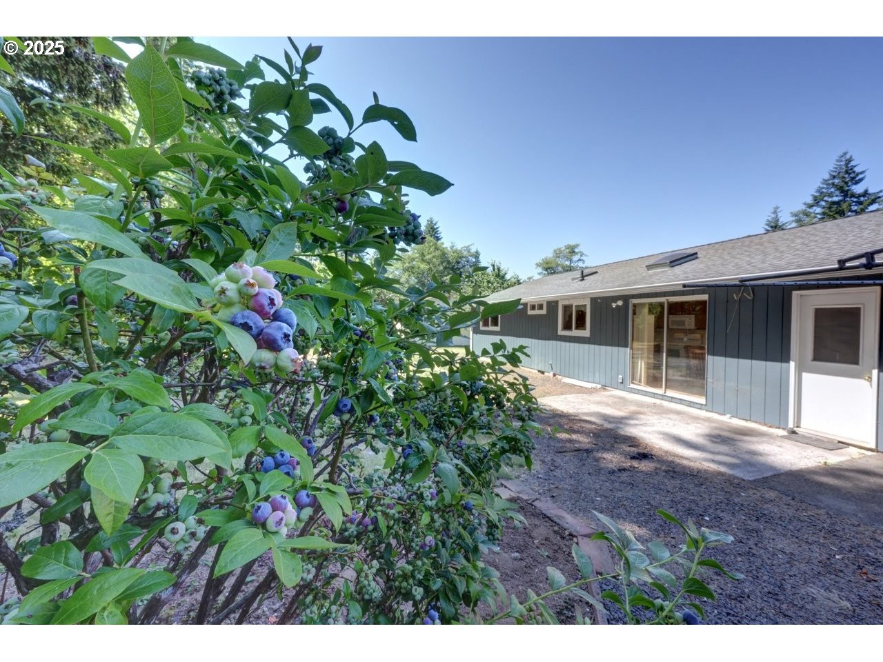 92655 Camelia Road Astoria, OR 97103 - Photo 32 of 34 Gallery Image 32