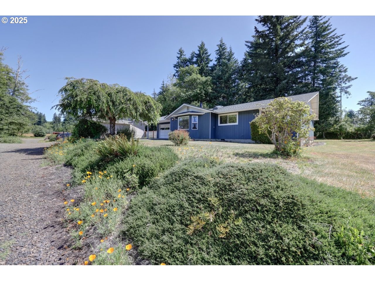 92655 Camelia Road Astoria, OR 97103 - Photo 4 of 34 Gallery Image 4