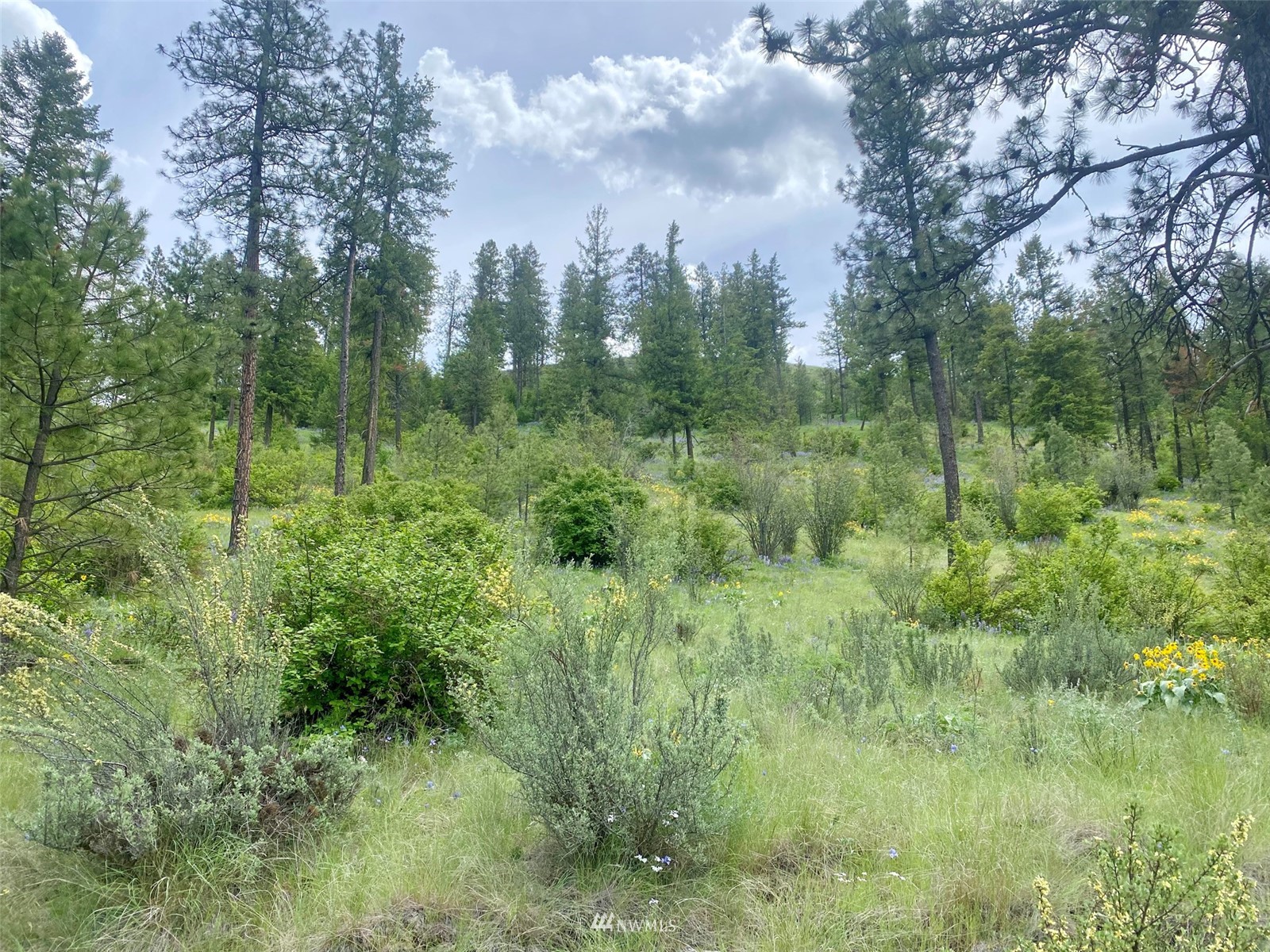 0 Underwood Cyn Road East Creston, WA 99117 - Photo 1 of 14 Gallery Image 1