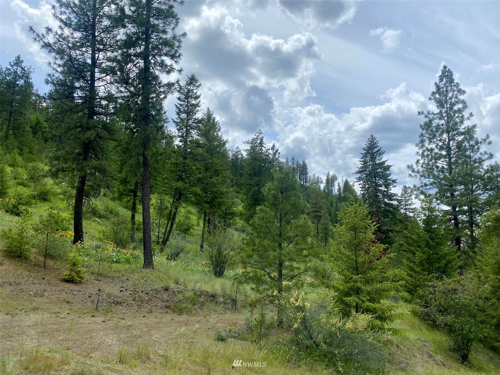 0 Underwood Cyn Road East Creston, WA 99117 - Photo 12 of 14 Gallery Image 12