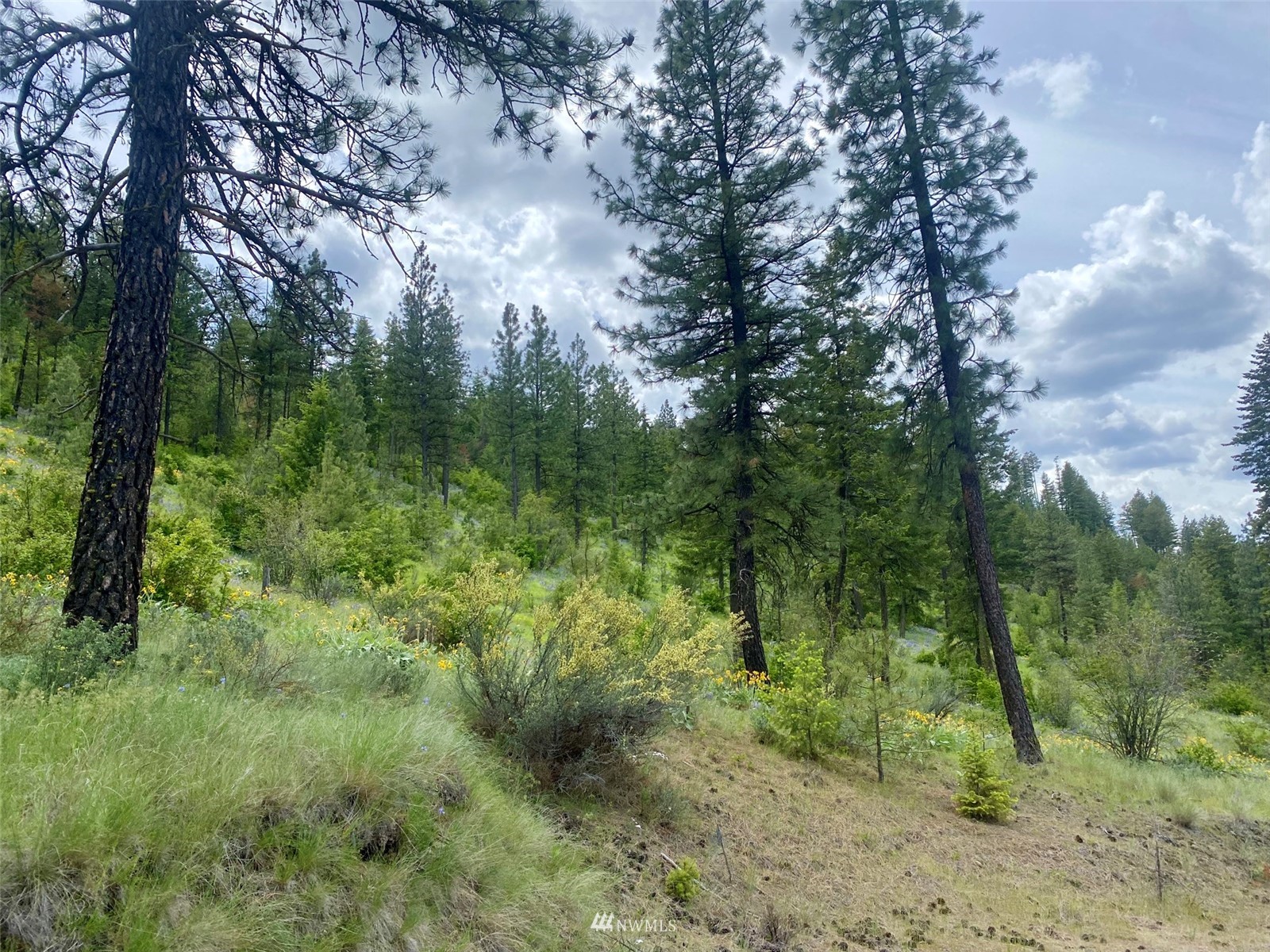 0 Underwood Cyn Road East Creston, WA 99117 - Photo 4 of 14 Gallery Image 4