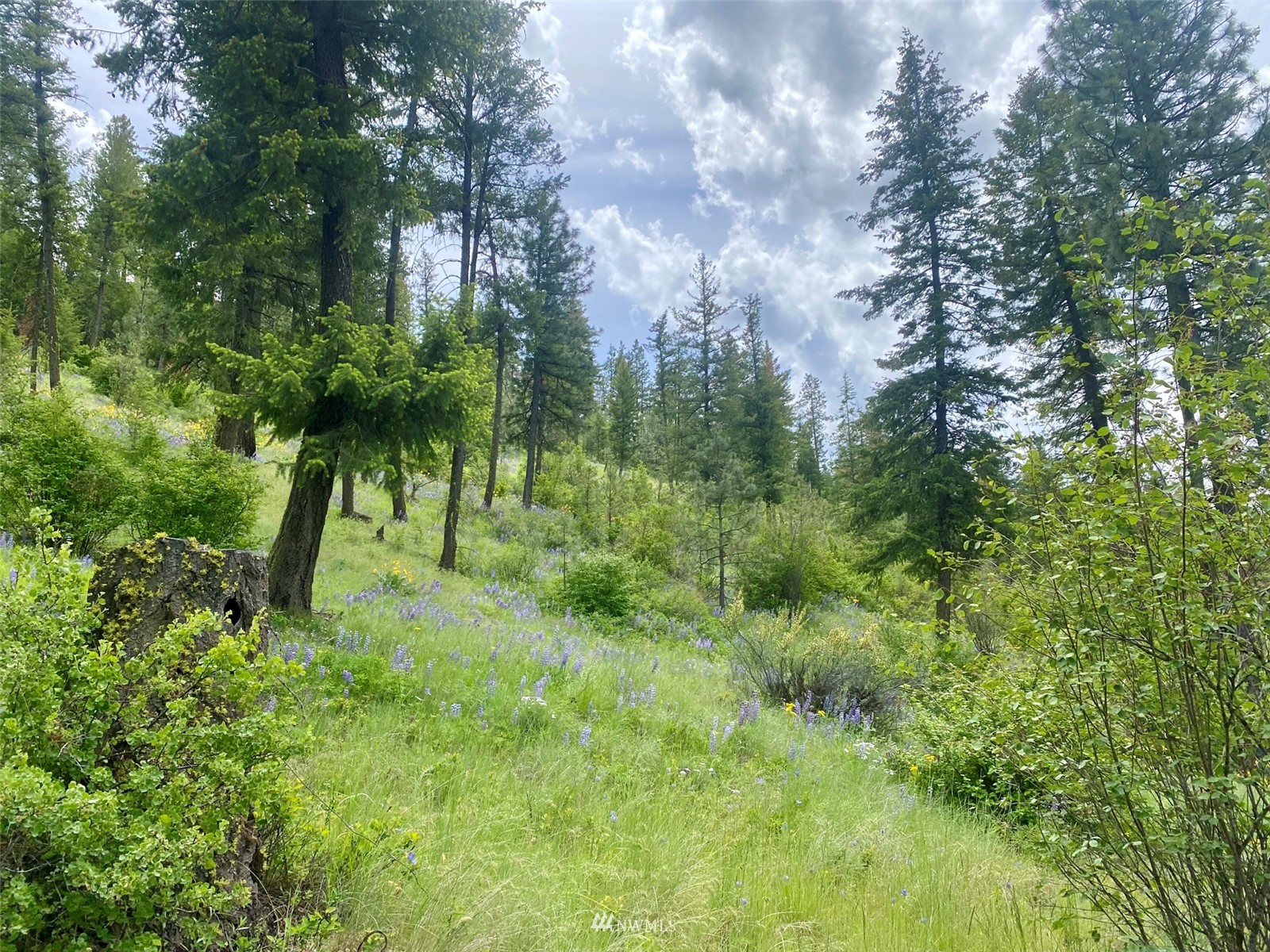0 Underwood Cyn Road East Creston, WA 99117 - Photo 8 of 14 Gallery Image 8