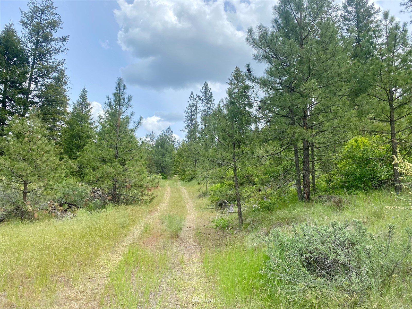 0 Underwood Cyn Road East Creston, WA 99117 - Photo 10 of 14 Gallery Image 10