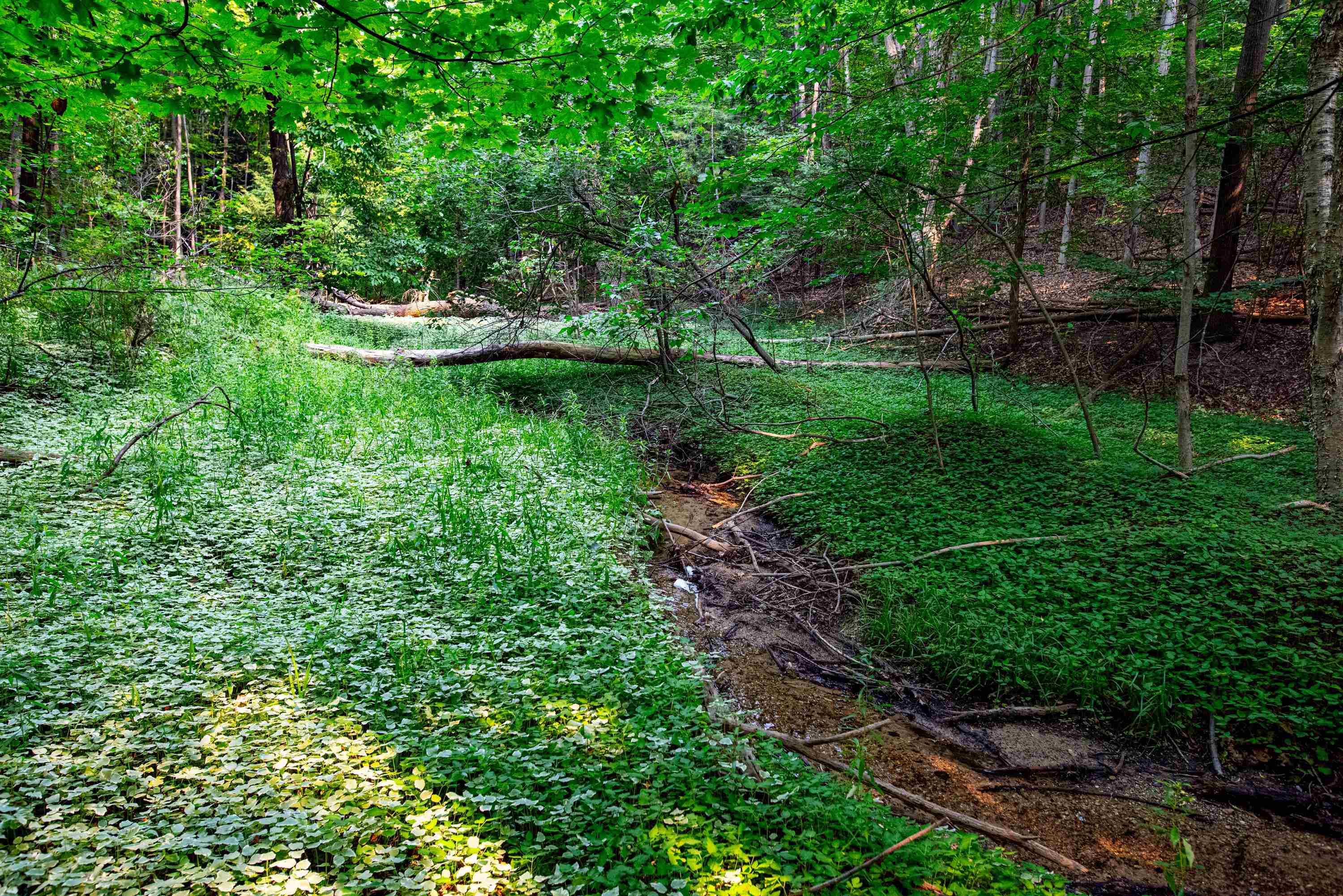 0 East Grandview Road Traverse City, MI 49684 - Photo 19 of 24