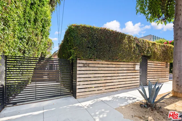a view of a yard with plants